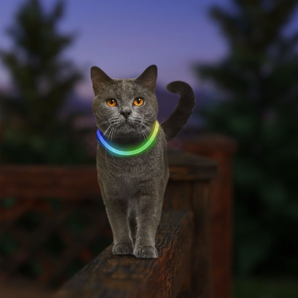 Nite Ize NiteMeow Rechargeable LED Cat Safety Necklace, 9.5 to 14.8-in neck