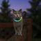 Show in main carousel: Nite Ize NiteMeow Rechargeable LED Cat Safety Necklace, 9.5 to 14.8-in neck slide 7 of 11