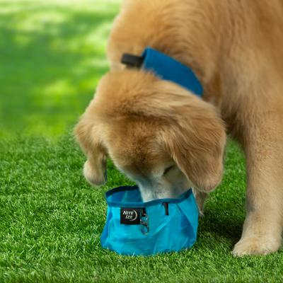 Show full view: Nite Ize RadDog Collapsible Travel Dog Bowl, Blue, 2-cup slide 5 of 7