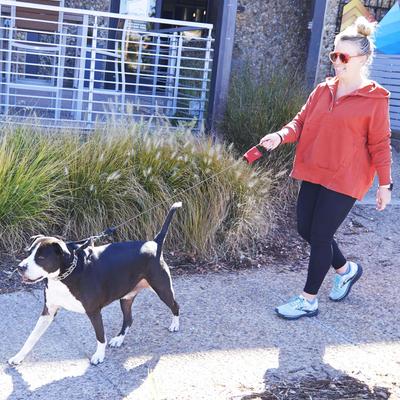 Show full view: Nite Ize RadDog Retractable Pocket Dog Leash, Large: 45.7-in long, 1/8-in wide slide 6 of 11