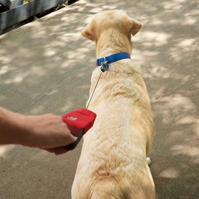 Show full view: Nite Ize RadDog Retractable Pocket Dog Leash, Large: 45.7-in long, 1/8-in wide slide 7 of 11