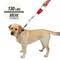 Show in main carousel: Nite Ize RadDog Retractable Pocket Dog Leash, Large: 45.7-in long, 1/8-in wide slide 4 of 11