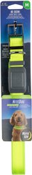 Nite Ize Rechargeable LED Dog Collar, Lime, Medium