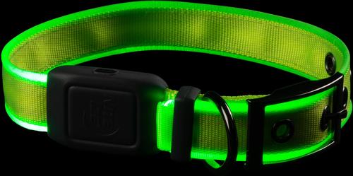 Show full view: Nite Ize Rechargeable LED Dog Collar, Lime, Medium slide 6 of 8