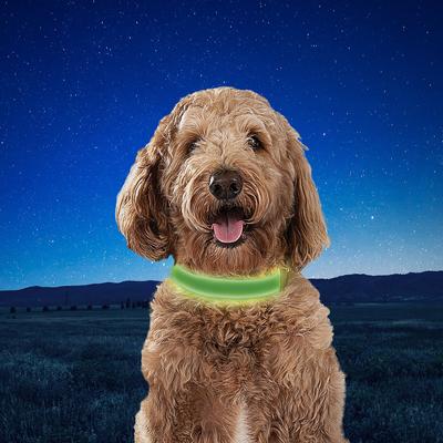 Show full view: Nite Ize Rechargeable LED Dog Collar, Lime, Medium slide 7 of 8