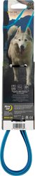 Nite Ize Rechargeable LED Dog Leash, Blue slide 2 of 5