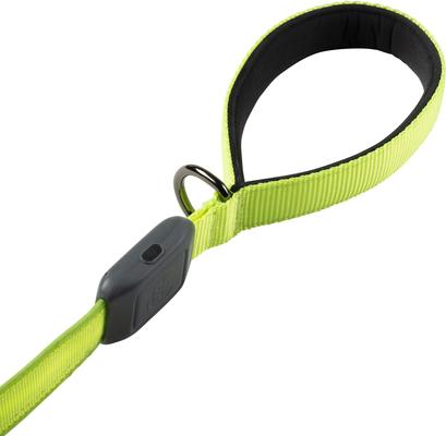 Show full view: Nite Ize Rechargeable LED Dog Leash, Lime slide 7 of 10