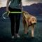 Show in main carousel: Nite Ize Rechargeable LED Dog Leash, Lime slide 8 of 10