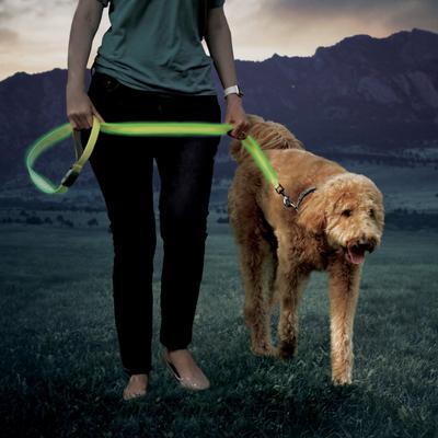Show full view: Nite Ize Rechargeable LED Dog Leash, Lime slide 8 of 10