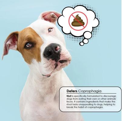 Show full view: Nixit Powder Coprophagia Supplement for Dogs, 10.5-oz jar slide 3 of 10