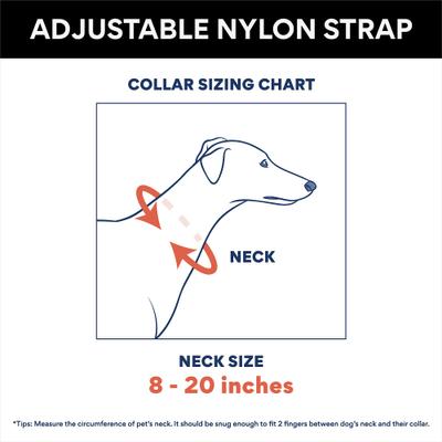 Show full view: No Shock Rechargeable Bark Collar, Grey slide 3 of 8