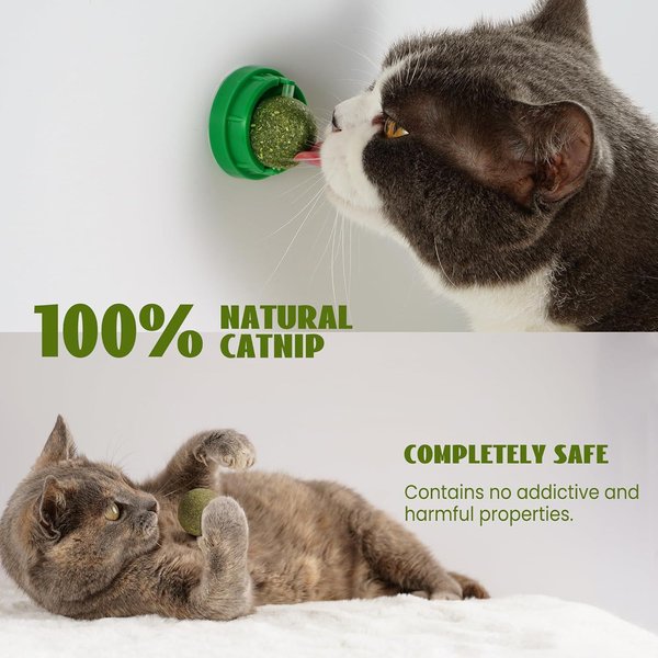 Nocciola 12-in-1 Variety Pack with Bag Catnip Interactive Cat Toy, 12 count
