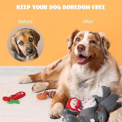 Show full view: Nocciola 6 in 1 Fairy Tale Squeaky Plush Dog Toys, 6 count slide 5 of 10