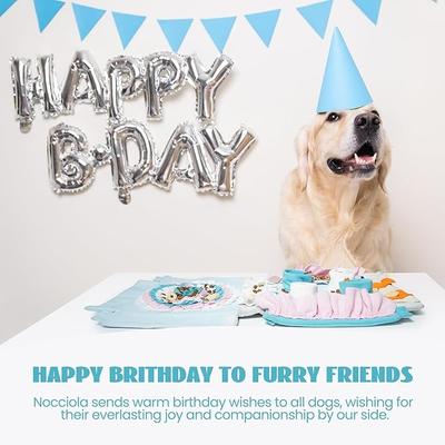 Show full view: Nocciola Birthday Snuffle Mat Squeaky Plush Puppy Toy slide 7 of 8