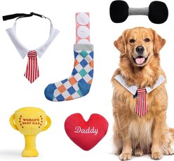 Nocciola Father's Day Sqeaky Interactive Variety Pack Plush Dog Toy, 5 count