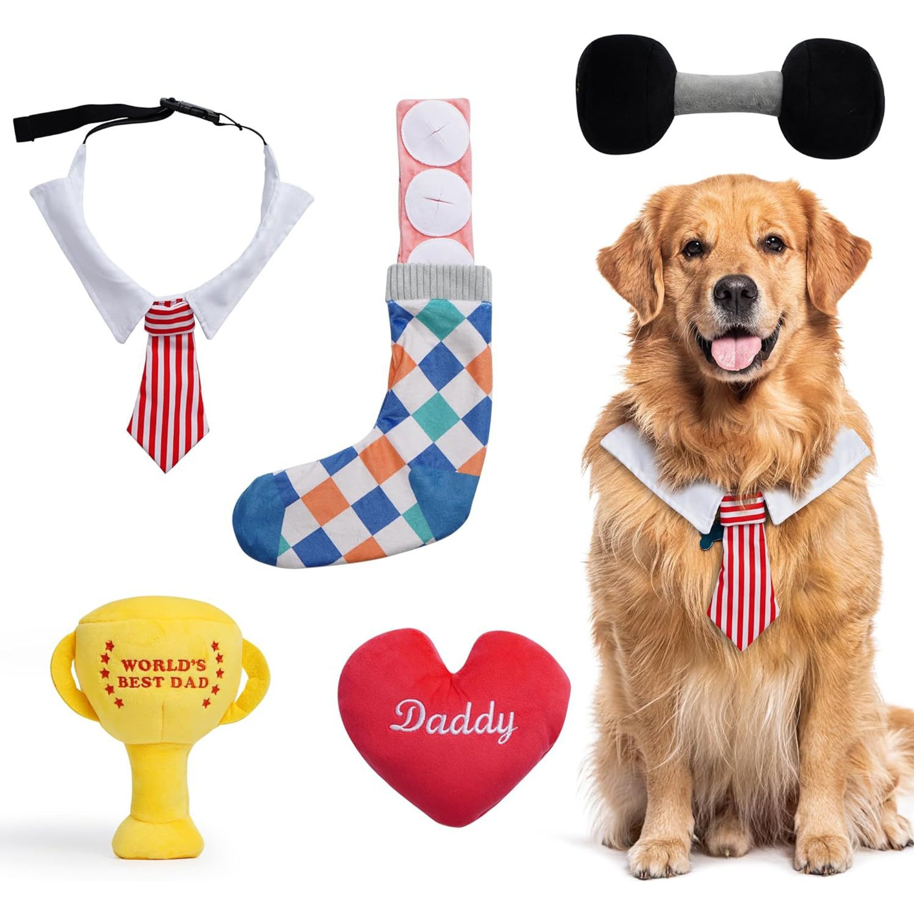 Nocciola Father's Day Sqeaky Interactive Variety Pack Plush Dog Toy, 5 count