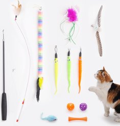 Nocciola Fishing Pole Teaser with 7 Interactive Cat Toys