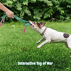 Nocciola Frog Stuffing-Free Squeaky Plush Dog Toy, Green slide 2 of 6