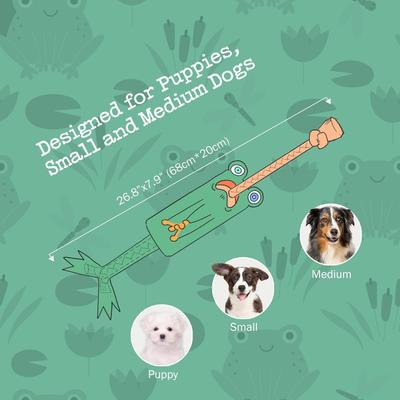 Show full view: Nocciola Frog Stuffing-Free Squeaky Plush Dog Toy, Green slide 6 of 9