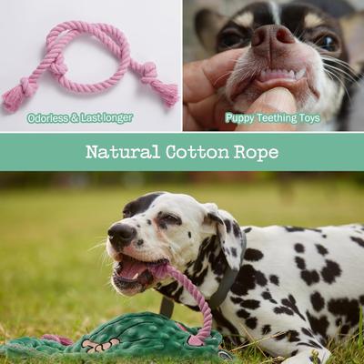 Show full view: Nocciola Frog Stuffing-Free Squeaky Plush Dog Toy, Green slide 5 of 9