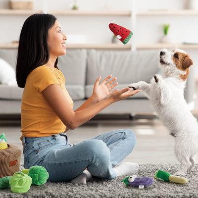 Show full view: Nocciola Grocery Bag Variety Pack Crinkle Squeaky Interactive Plush Dog Toy, 15 count slide 5 of 9