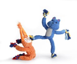 Nocciola Interactive Squirrel & Frog Squeaky Dog Plush Toy with Crinkle Paper & Rope, 2 count