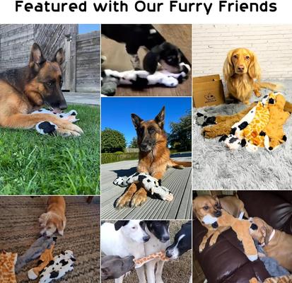 Show full view: Nocciola Jungle Series Crinkle Squeaky Stuffing-Free Dog Plush Toy Variety Pack, 5 count slide 6 of 8