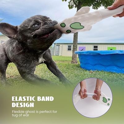 Show full view: Nocciola Multi-Sensory Spooky Squeaky Plush Dog Toys, 5 count slide 5 of 7