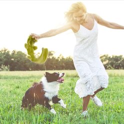 Nocciola Multi-Squeaker Variety Pack Dog Toy, 5 count slide 2 of 6