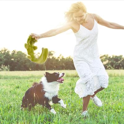 Show full view: Nocciola Multi-Squeaker Variety Pack Dog Toy, 5 count slide 6 of 8