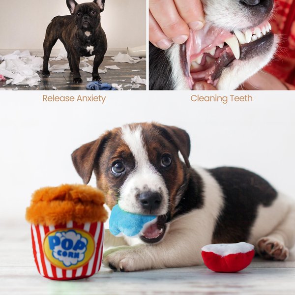 Nocciola Popcorn Bucket Variety Pack Interactive Squeaky Stuffed Dog Toy, 4 count