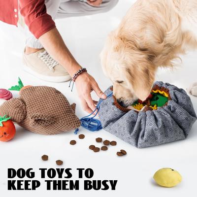 Show full view: Nocciola Rosted Veggies Squeaky Interactive Snuffle Feeding Mat Dog Toy slide 5 of 9