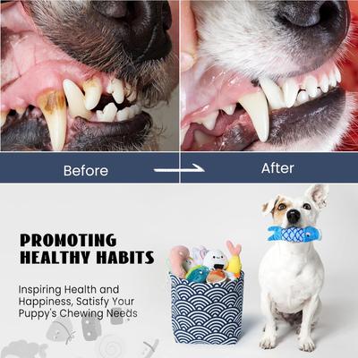 Show full view: Nocciola Sushi with Takeout Bag Variety Pack Squeaky Interactive Dog Toy, 10 count slide 4 of 9