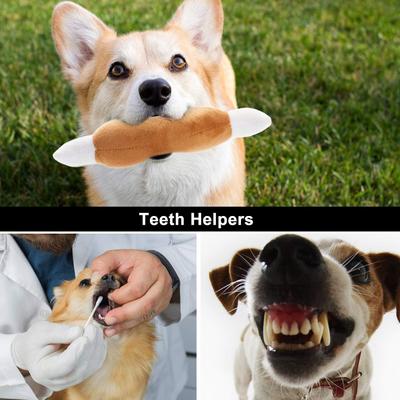 Show full view: Nocciola Variety Pack Squeaky Interactive with Takeout Bag Dog Toy, 12 count slide 3 of 9