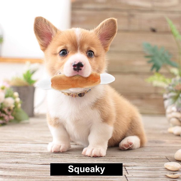 Nocciola Variety Pack Squeaky Interactive with Takeout Bag Dog Toy, 12 count