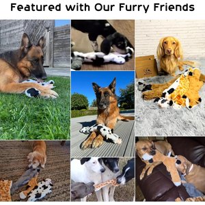 Nocciola Wildlife Series Squeaky Stuffing-Free Dog Plush Toy Variety Pack, 5 count