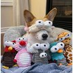 Show in main carousel: Nocciola Zoo Series with Strange Squeaky 5 Different Funny Sounds Dog Plush Toy, 5 count slide 2 of 8