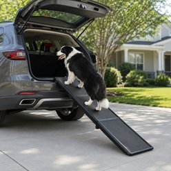 NonoPets 3-Fold Heavy-Duty Portable Non-Skid Dog & Cat Ramp with High-Traction Frosted Surface, X-Large: 70.9-in