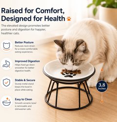 NonoPets Cat Paw Raised Dishwasher Safe Elevated Microwavable Lead Free Ceramic Cat Bowl with Metal Stand, 1.04-cup slide 2 of 9