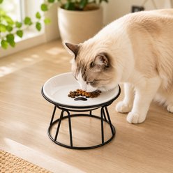 NonoPets Cat Paw Raised Dishwasher Safe Elevated Microwavable Lead Free Ceramic Cat Bowl with Metal Stand, 1.04-cup slide 1 of 9