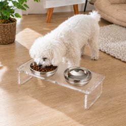 NonoPets Clear Raised Dishwasher Safe Removable Lead Free Double Elevated Acrylic Dog & Cat Bowls, 13.7-oz, 14.2 x 5.9 x 3.7-in