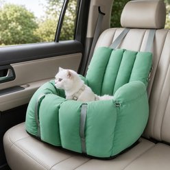 NonoPets Convertible Dog & Cat Car Seat & Carrier, Green slide 1 of 9