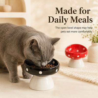 Show full view: NonoPets Daily Indoor Companion Elevated Ceramic Dog Bowl with Stable Base, 6.8-oz, Red slide 6 of 8