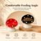 Show in main carousel: NonoPets Daily Indoor Companion Elevated Ceramic Dog Bowl with Stable Base, 6.8-oz, Red slide 2 of 8