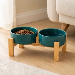 NonoPets Elevated Raised Double Microwavable Lead Free Dishwasher Safe Ceramic Dog & Cat Bowls with Bamboo Stand, 6.8-cup, Green