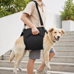 NonoPets Emergency Legs Support & Rehabilitation Lift Harness Nail Trimming Carry Bag Dog & Cat Carrier, Black, XX-Large