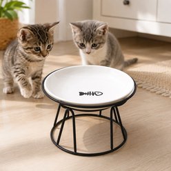 NonoPets Fish Bone Raised Dishwasher Safe Elevated Microwavable Lead Free Ceramic Cat Bowl with Metal Stand, 1.04-cup