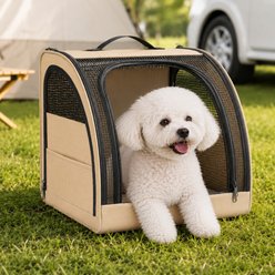 NonoPets Foldable Ventilated Mesh Collapsible Bag Dog & Cat Carrier, Beige