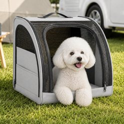 NonoPets Foldable Ventilated Mesh Collapsible Bag Dog & Cat Carrier, Grey