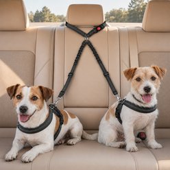 NonoPets Heavy-Duty Dual Dog & Cat Car Seat Belt